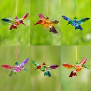 Zaer Ltd International Five Tone Acrylic Hummingbird Ornament in 6 Assorted Color Variations ZR504316
