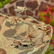 Zaer Ltd. International Set of 3 Frosted Gold Iron Birdbaths with Butterflies "Luciana" ZR171425-SET View 3