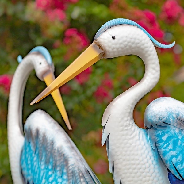 April 2023 Bird Promo