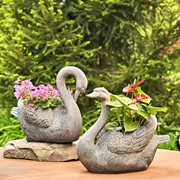Zaer Ltd International Pre-Order: Set of 2 Magnesium Swan Planters "Derek & Odette" ZR145470-SET