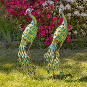 Zaer Ltd. International Set of 2 41" Tall Blue & Green Colorful Metal Peacocks with Acrylic Accents ZR140655-SET