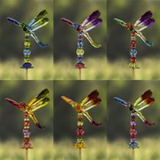 Zaer Ltd. International 54" Five Tone Acrylic Dragonfly Garden Stakes in 6 Assorted Colors ZR203516