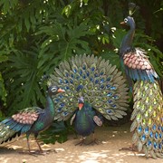 Zaer Ltd. International Pre-Order: Set of 3 Elegant Iron Peacocks with Jewel Detail ZR182200-SET