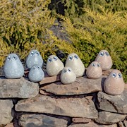 Zaer Ltd International Set of 3 Solar "Rock" Birds with Floral Etching in 3 Assorted Colors VA100004-SET