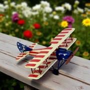 Zaer Ltd. International Decorative Americana Model Airplane RD804340