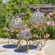 Zaer Ltd International Pre-Order: Set/3 Glass Dome Terrariums with Iron Stand in Gold "Marseilles 1792" ZR530995-FGS
