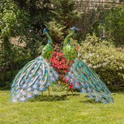 Zaer Ltd. International Pre-Order: Set of 2 Large Colorful Peacocks with Jewels "Royal and Sapphire" ZR140242-SET