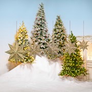 Zaer Ltd International Set of 5 Hanging 3D 8-Point Decorative Metal Stars in Asst Sizes "Asterismos" ZR233024-SET