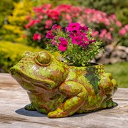 Zaer Ltd International Pre-Order: Hand Painted Ceramic Frog Planter "Rayne" ZR083925