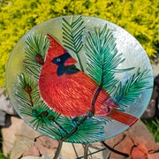 Zaer Ltd International 18" Glass Bowl Cardinal Birdbath with Metal Stand "Kentucky" ZR180909
