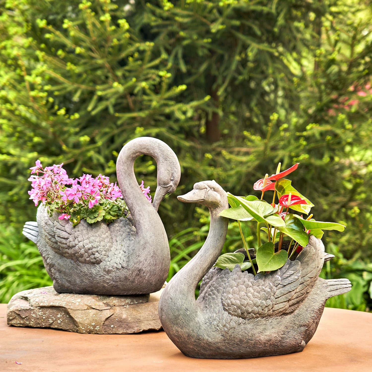 Zaer Ltd International Pre-Order: Set of 2 Magnesium Swan Planters "Derek & Odette" ZR145470-SET