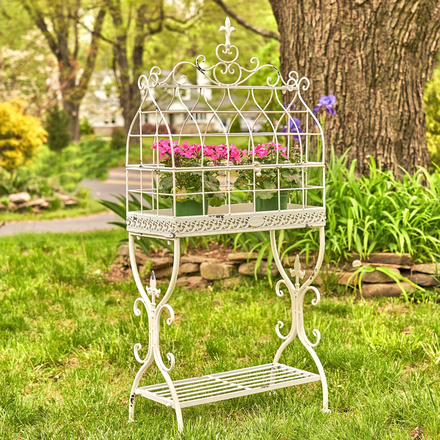 Zaer Ltd. International Pre-Order: 42.5" Tall Iron Cage Plant Stand in Antique White "Paris 1968" ZR190422-AW