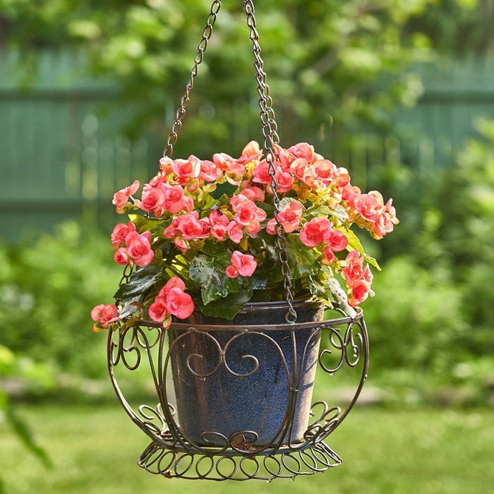 Zaer Ltd International 28.35" Long Hanging Iron Basket Planter in Antique Bronze "Paris 1968" ZR180315-BZ