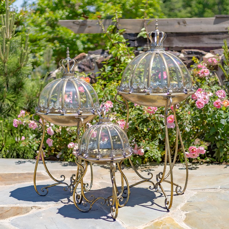 Zaer Ltd International Pre-Order: Set/3 Glass Dome Terrariums with Iron Stand in Gold "Marseilles 1792" ZR530995-FGS