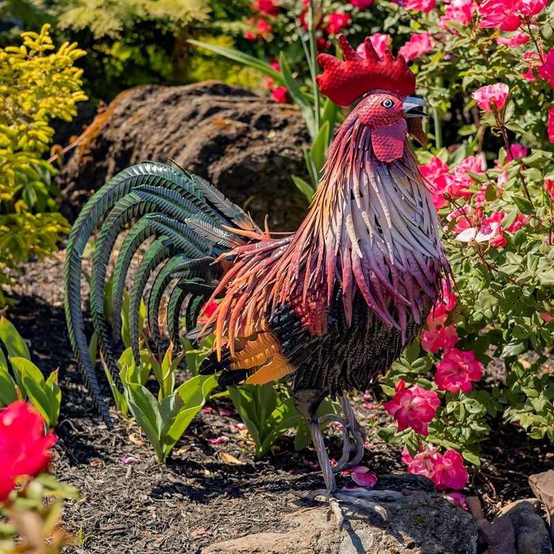 Zaer Ltd. International 28" Tall Painted Iron Rooster Decoration "Leopold" ZR220904