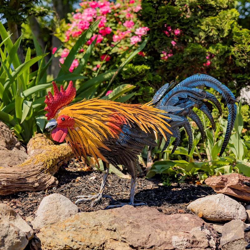 Zaer Ltd. International 21.25" Tall Painted Iron Rooster Decoration "Maxwell" ZR220905