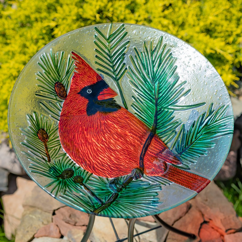 Zaer Ltd International 18" Glass Bowl Cardinal Birdbath with Metal Stand "Kentucky" ZR180909