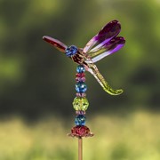 Zaer Ltd. International 54" Five Tone Acrylic Dragonfly Garden Stakes in 6 Assorted Colors ZR203516 View 2