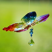 Zaer Ltd International Five Tone Hanging Acrylic Butterfly Ornament with Flowers in 6 Assorted Colors ZR506416-SET View 2
