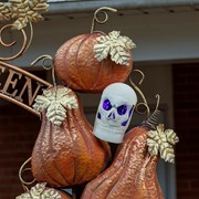 Zaer Ltd International Large Arch with Pumpkins and Skulls ZR180733 View 2