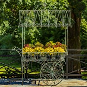 Zaer Ltd. International 7.9ft. Tall Antique Style Iron Flower Cart in Verdi Green "Paris 1968" ZR154079-VG View 2