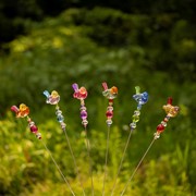 Zaer Ltd. International 21" Tall Multicolor Acrylic Sparrow Pot Stakes in 6 Assorted Colors ZR203816-SET View 2