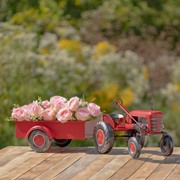Zaer Ltd International 3.4ft. Long Small Red Metal Tractor with Cart "The Aldean" ZR534481-RD View 2