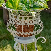 Zaer Ltd. International Set of 2 Standing Iron Basket Plant Stands in Antique White "London 1820" ZR191035-AW View 2