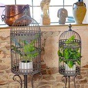 Zaer Ltd. International Pre-Order: Set/2 Victorian Style Birdcage Planters in Bronze "Copenhagen 1843" ZR200524-BZ View 2