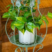 Zaer Ltd. International Pre-Order: Set/2 Hourglass Shaped Birdcage Plant Stands in Green "London 1820" ZR200527-GR View 2