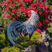 Zaer Ltd. International 28" Tall Painted Iron Rooster Decoration "Brooks" ZR220902 View 2