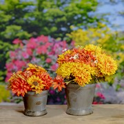 Zaer Ltd. International Set of 2 Galvanized Round Iron Planters with Moving Handles in Antique Grey ZR831012 View 2