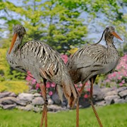 Zaer Ltd. International Set of 2 Great Blue Heron Metal Outdoor Figurines ZR230425-SET View 2