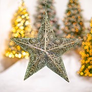 Zaer Ltd International Set of 5 Assorted Hanging Three-Dimensional Decorative Metal Stars "Steorra" ZR233029-SET View 2