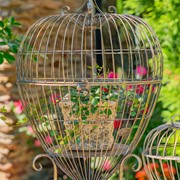 Zaer Ltd. International Set of 2 Metal Heart-Shaped Cage Plant Stands in Frosted Gold "Ariyanna" ZR220415-FG View 2