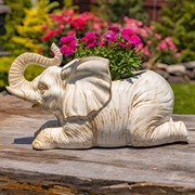 Zaer Ltd International Pre-Order: Hand Painted Ceramic Elephant Planter "Namibia" ZR083912 View 2