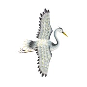 Zaer Ltd International Pre-Order: Set of 4 Asst Elegant Whooping Crane Wall Decorations "Port Aransas" ZR241200-SET View 2