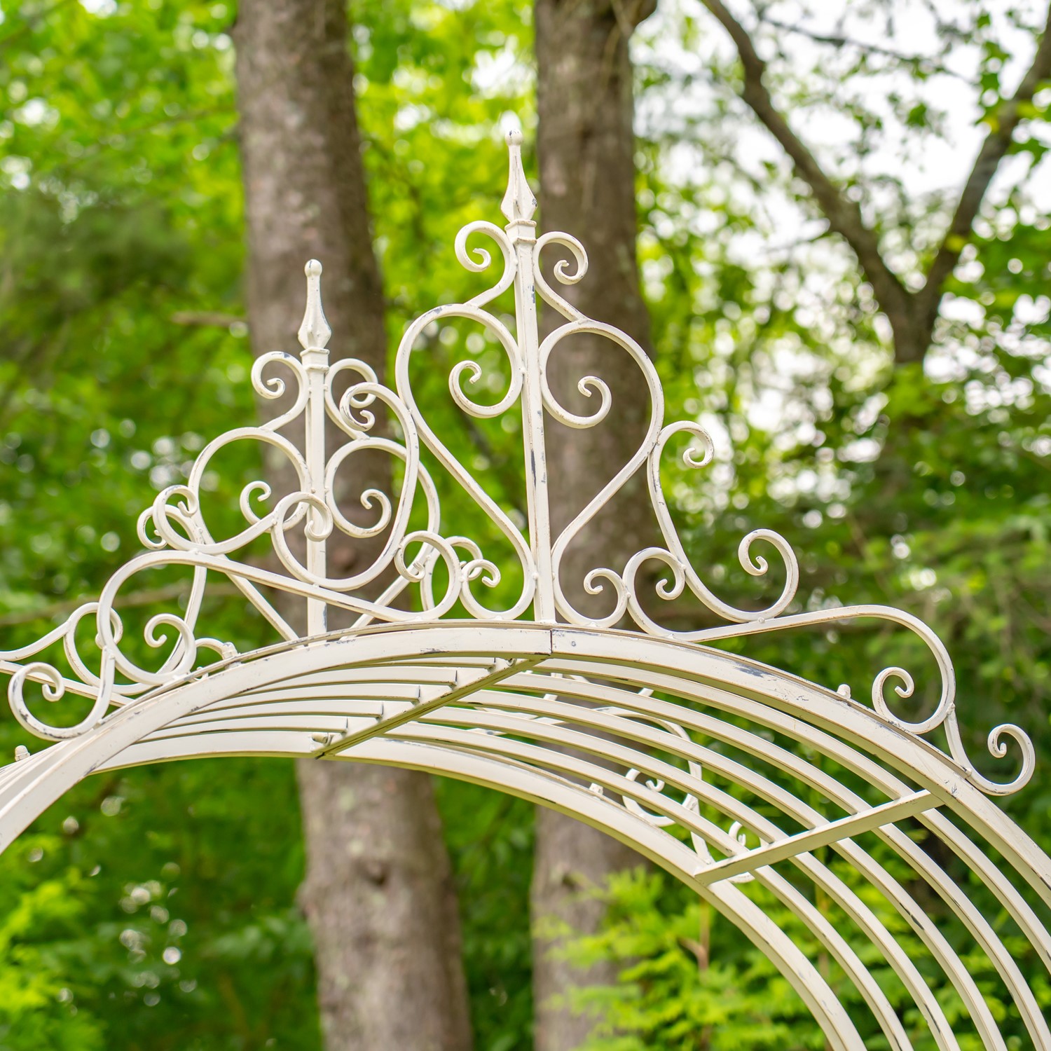 10.5ft. Tall Iron Garden Gate with Floral Embellishments in