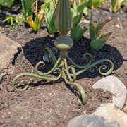 Zaer Ltd. International 27" Tall Ornate Pedestal Birdbath with Little Bird Details in Antique Green ZR160318-GR View 3