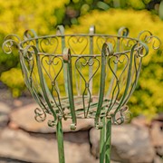 Zaer Ltd International Pre-Order: Set of 2 Tall Iron Basket Plant Stands in Antique Green "Stephania" ZR139518-GR View 3