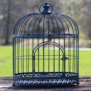 Zaer Ltd International Pre-Order: Set of 2 Iron Bird Cage Decorations in Antique Blue ZR190546-BL View 3