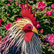 Zaer Ltd. International 27" Tall Painted Iron Rooster Decoration "Chester" ZR220901 View 3