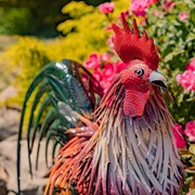 Zaer Ltd. International 28" Tall Painted Iron Rooster Decoration "Leopold" ZR220904 View 3