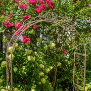 Zaer Ltd. International 96" Tall Garden Gate Archway with 2 Side Plant Stands in Ant. Bronze "Genevieve" ZR135980-BZ View 3