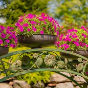 Zaer Ltd. International Pre-Order: 6.6ft. Long Bridge-Like Iron Plant Stand in Antique Green "Stockholm" ZR230421-GR View 3