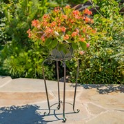 Zaer Ltd International Set of 2 Ornate Flower Basket Plant Stands in Antique Bronze "Medellín 1972" ZR238114-BZS View 3