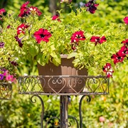 Zaer Ltd International Pre-Order: Set of 2 Ornate Plant Stand Tables in Antique Bronze "Medellín 1972" ZR238115-BZS View 3