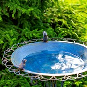 Zaer Ltd International 28.75" Tall Ornate Iron Birdbath with 3 Small Birds in Cobalt Blue "Stephania" ZR220411-BL View 3