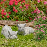 Zaer Ltd International Set of 2 Magnesium Piglet Statues "Truffles & Clover" ZR139510-20-SET View 3