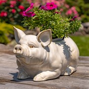 Zaer Ltd International Pre-Order: Hand Painted Ceramic Pig Planter "Kewanee" ZR083913 View 3